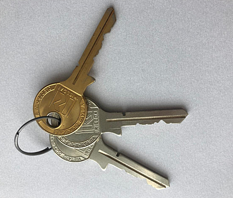 VP11014166 Ключ Rielda mod10 (2 ключа + 1 мастер ключ)